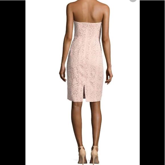 Corded Lace Sheath J. Mendel  color Blush - Picture 4 of 10